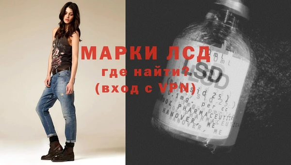 спиды Ельня