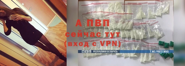 спиды Ельня