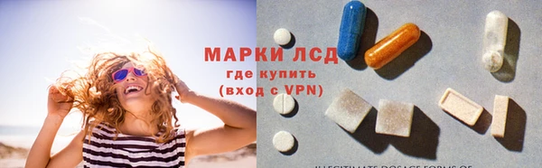 спиды Ельня