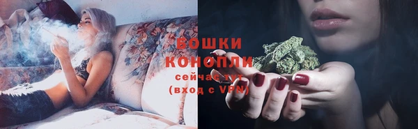 спиды Ельня