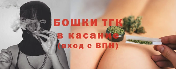 стафф Елабуга