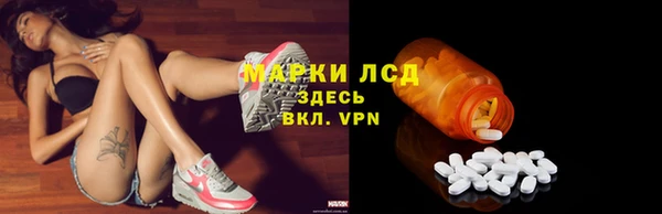 стафф Елабуга