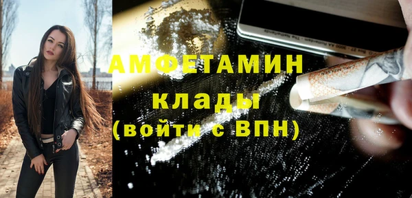 спиды Ельня