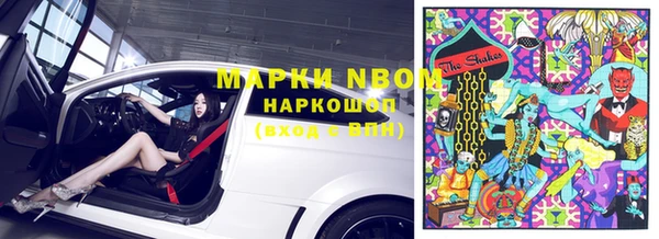 спиды Ельня