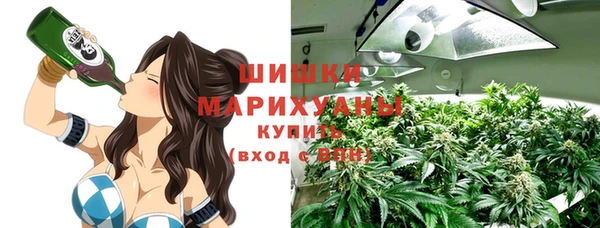 спиды Ельня