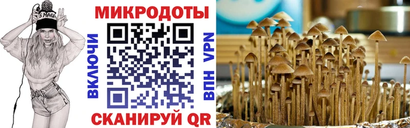Псилоцибиновые грибы ЛСД Купить Верхоянск